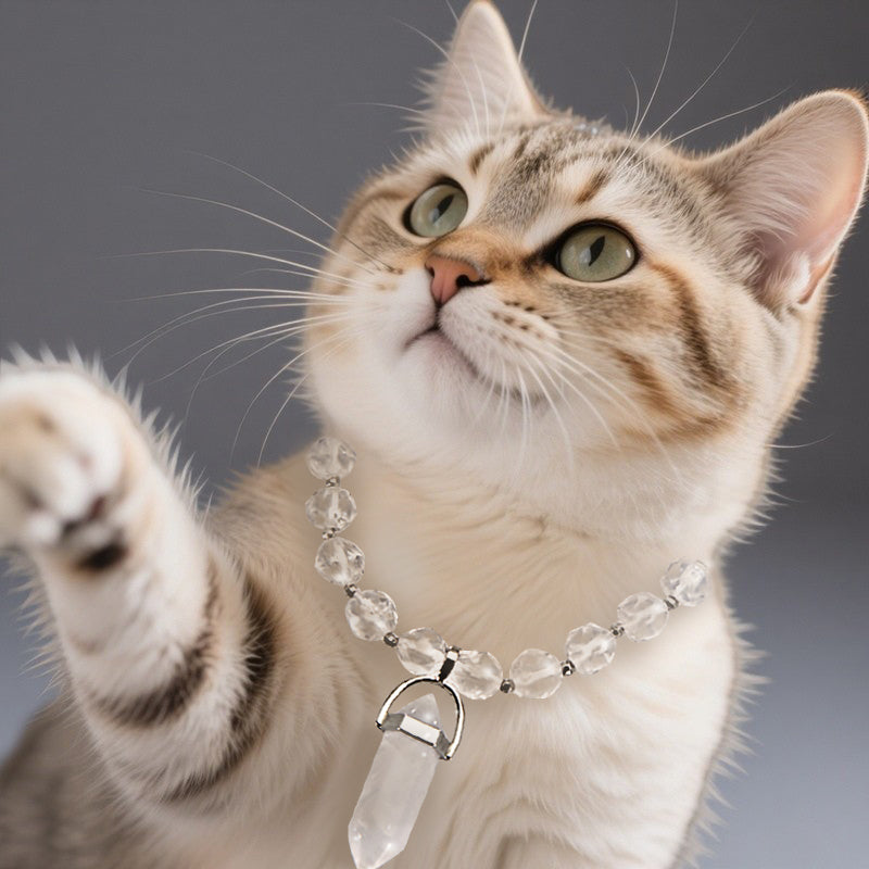 Pet Pendant Necklace in Natural White Crystal
